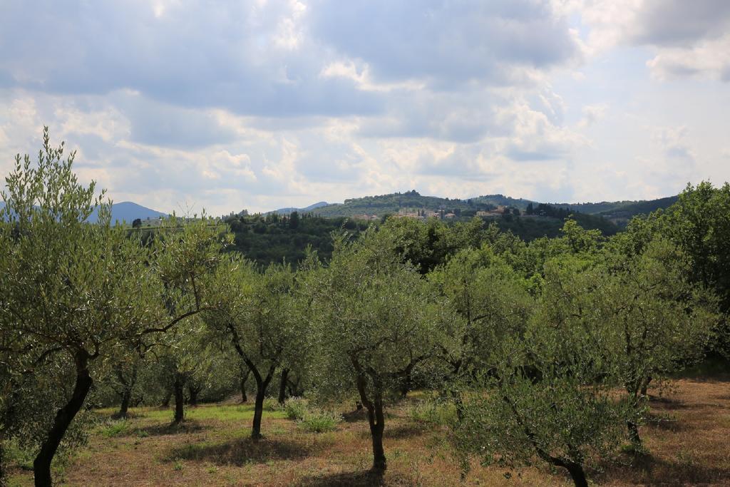 Francesca Holiday home Rignano Sull Arno