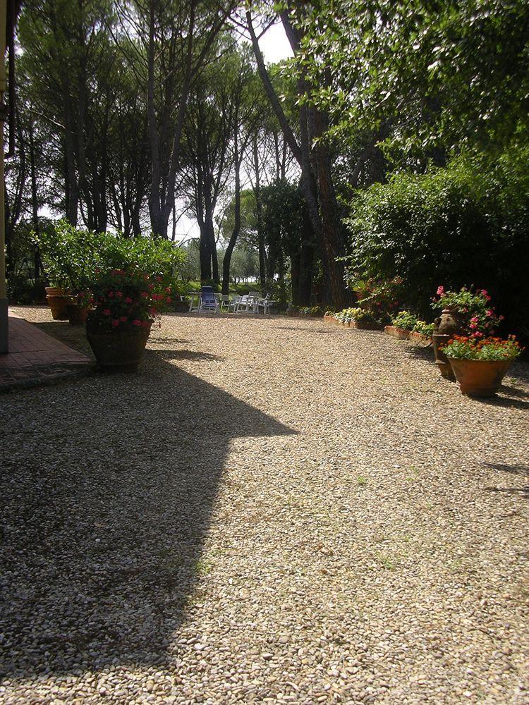 Francesca * Rignano Sull Arno