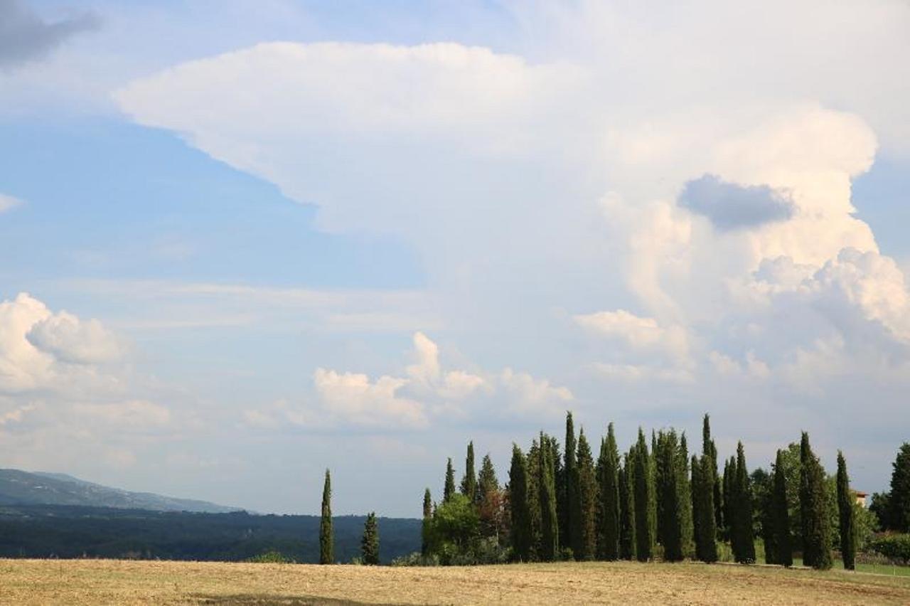 Holiday home Francesca Rignano Sull Arno