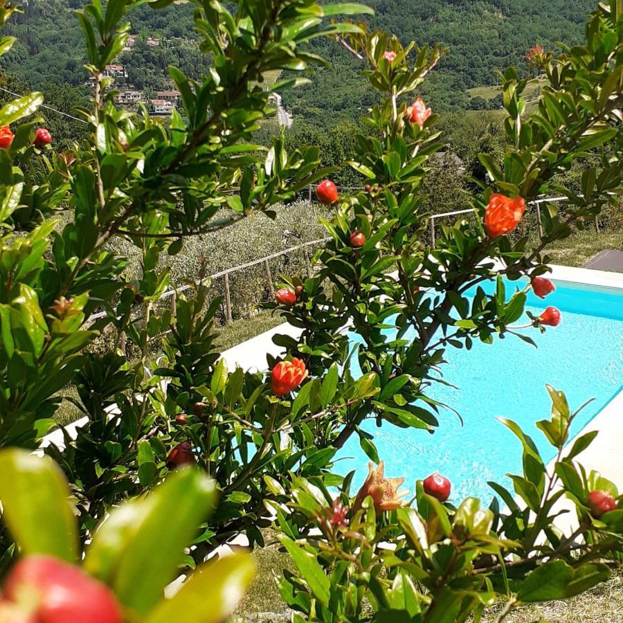 Francesca Holiday home Rignano Sull Arno